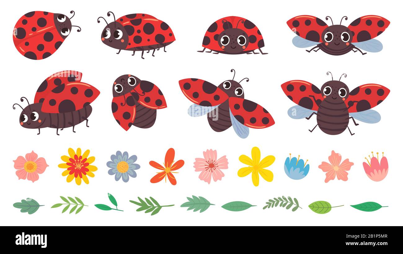 Cartone animato ladybug. Cute ladybugs con fiori e foglie, red bug e insetti vettore illustrazione set. Buffi bug lady, boccioli di fiori e fogliame pack Illustrazione Vettoriale