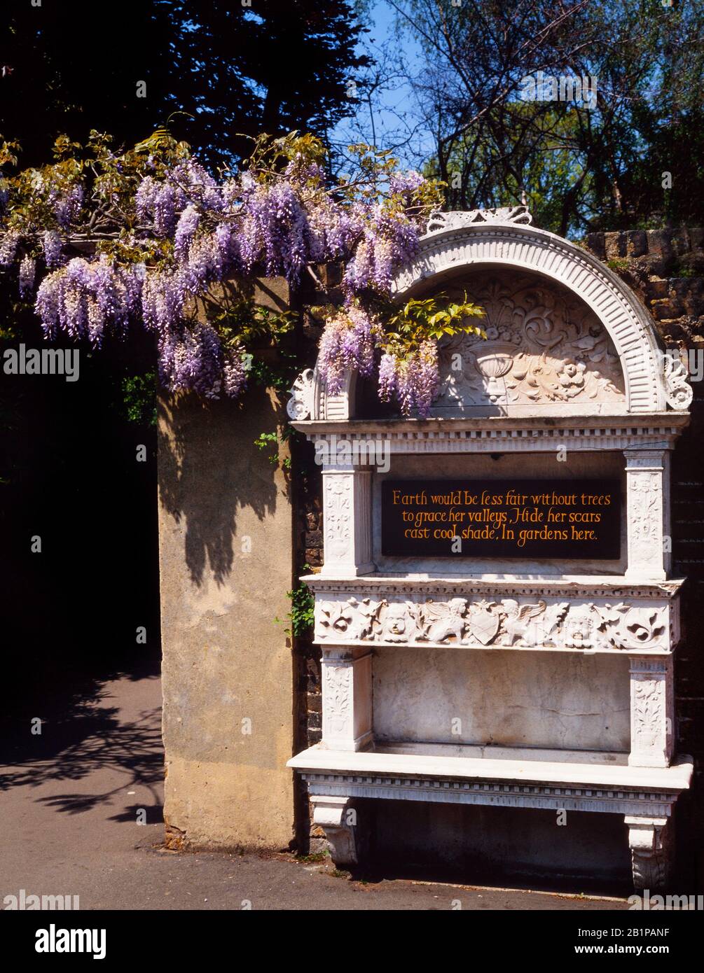 Strarbusto wisteria sinensis, Holland house Gardens, Holland Park, Londra. Epitaph sulla targa d'ingresso. Foto Stock