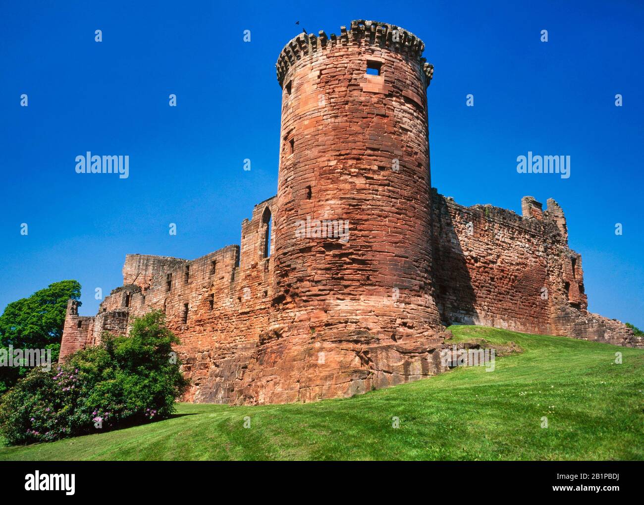 Bothwell castello, Scozia, Regno Unito. Costruzione in arenaria rossa. Vista sulla torre sud-est. Foto Stock