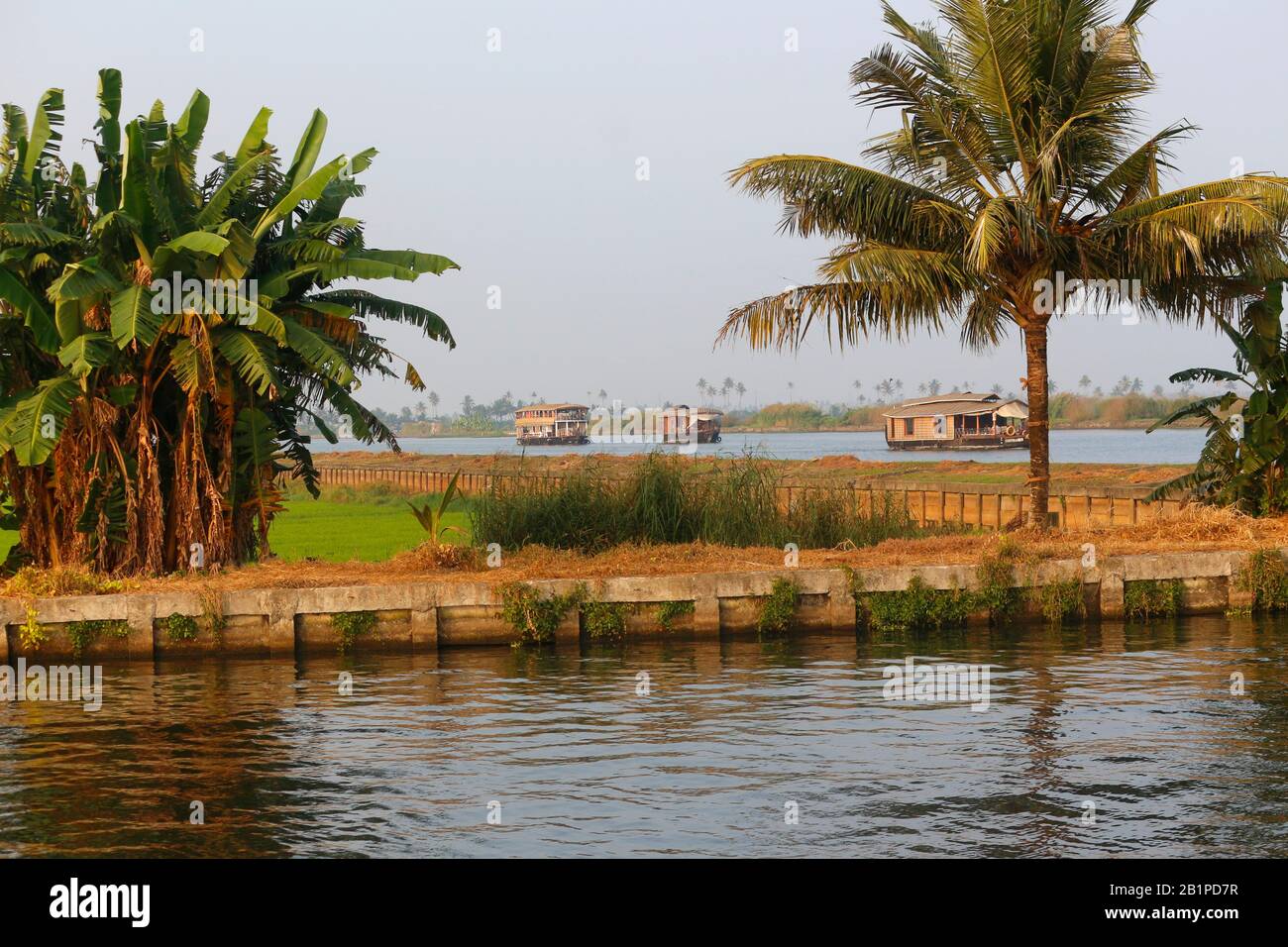 Casa barche con palme in primo piano, Allepey, Kerala, India Foto Stock