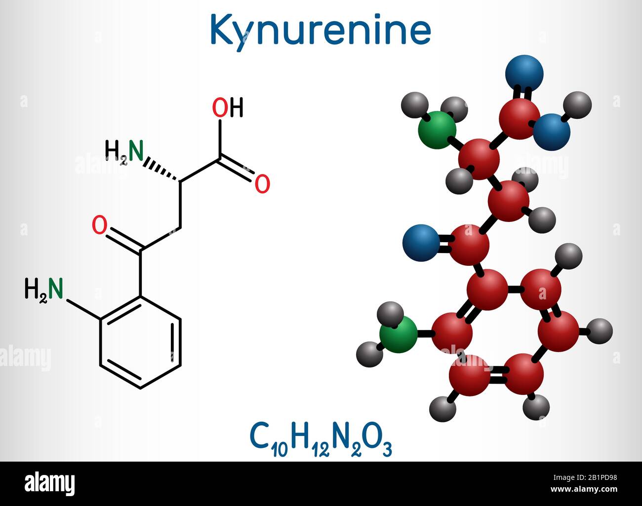 Kynurenina, l-Kynurenina, molecola C10H12O3N2. È un metabolita dell'amminoacido L-triptofano usato nella produzione di niacina. Chimica strutturale Illustrazione Vettoriale