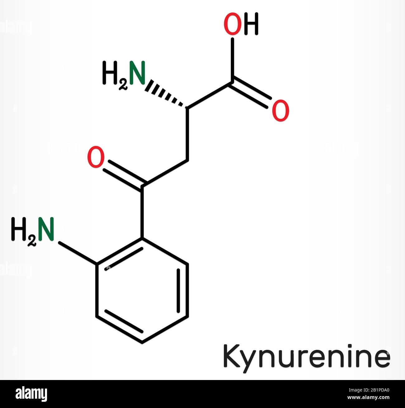 Kynurenina, l-Kynurenina, molecola C10H12O3N2. È un metabolita dell'amminoacido L-triptofano usato nella produzione di niacina. Chimica scheletrica f Foto Stock