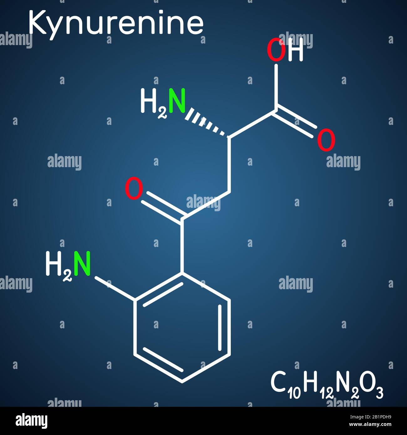 Kynurenina, l-Kynurenina, molecola C10H12O3N2. È un metabolita dell'amminoacido L-triptofano usato nella produzione di niacina. Chimica strutturale Illustrazione Vettoriale