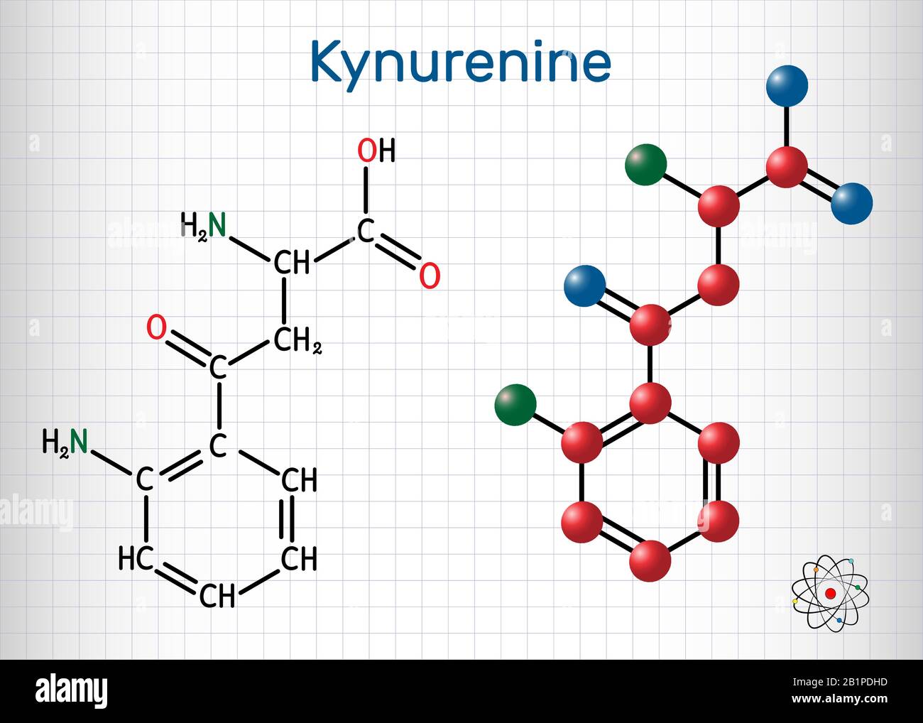 Kynurenina, l-Kynurenina, molecola C10H12O3N2. È un metabolita dell'amminoacido L-triptofano usato nella produzione di niacina. Chimica strutturale Illustrazione Vettoriale
