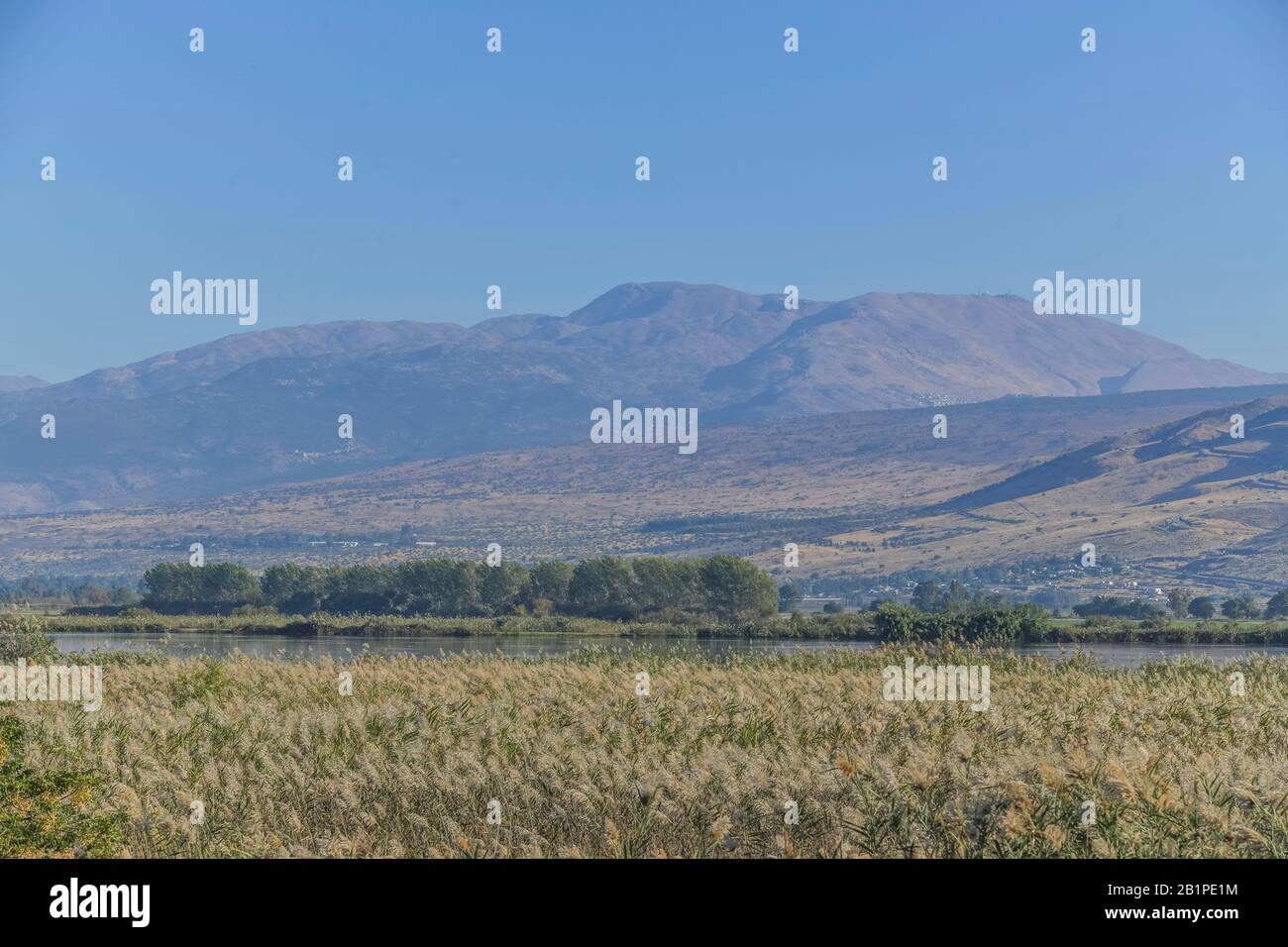 Sümpfe, Naturschutzgebiet Hula, Israele Foto Stock