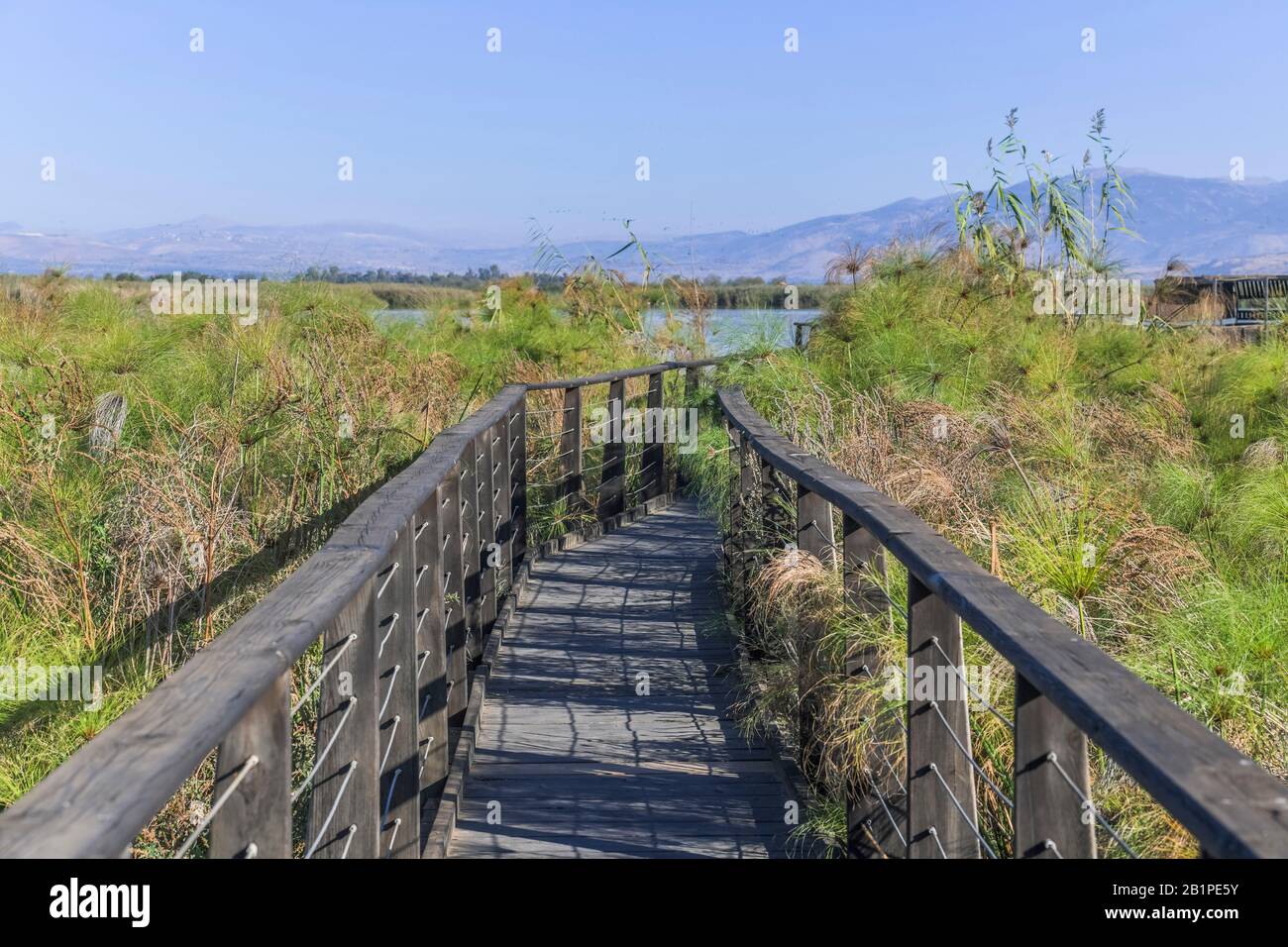 Holzstege Zur Vogelbeobachtung, Naturschutzgebiet Hula, Israele Foto Stock