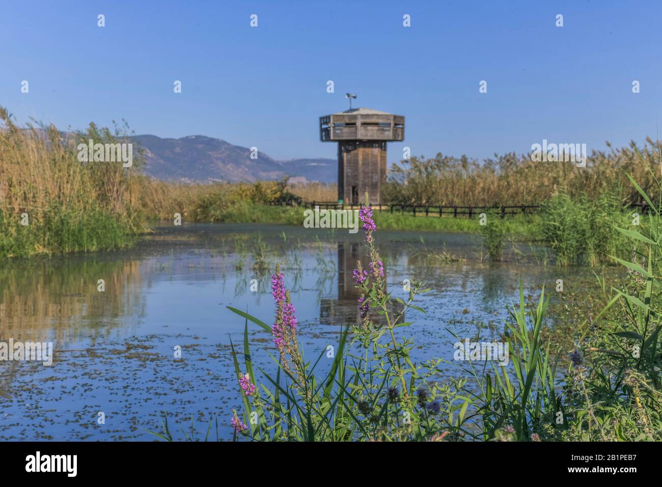 Aussichtsturm, Naturschutzgebiet Hula, Israele Foto Stock
