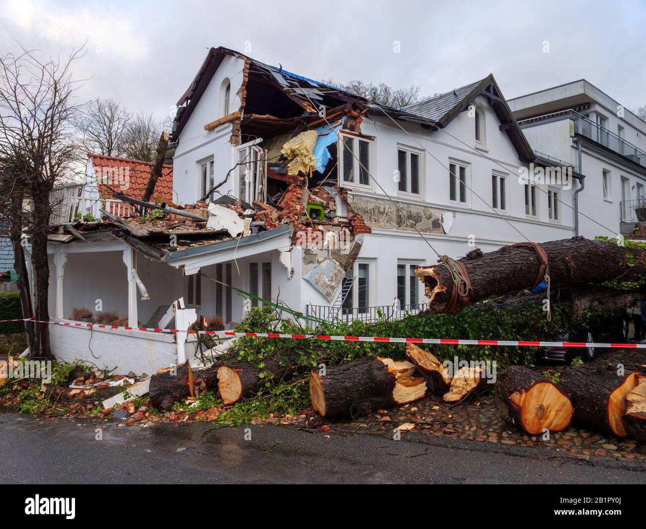 Pulizia. Danni causati da tempesta, castagno caduto, Blankeneser Hauptstr., Amburgo, Germania, Europa Foto Stock