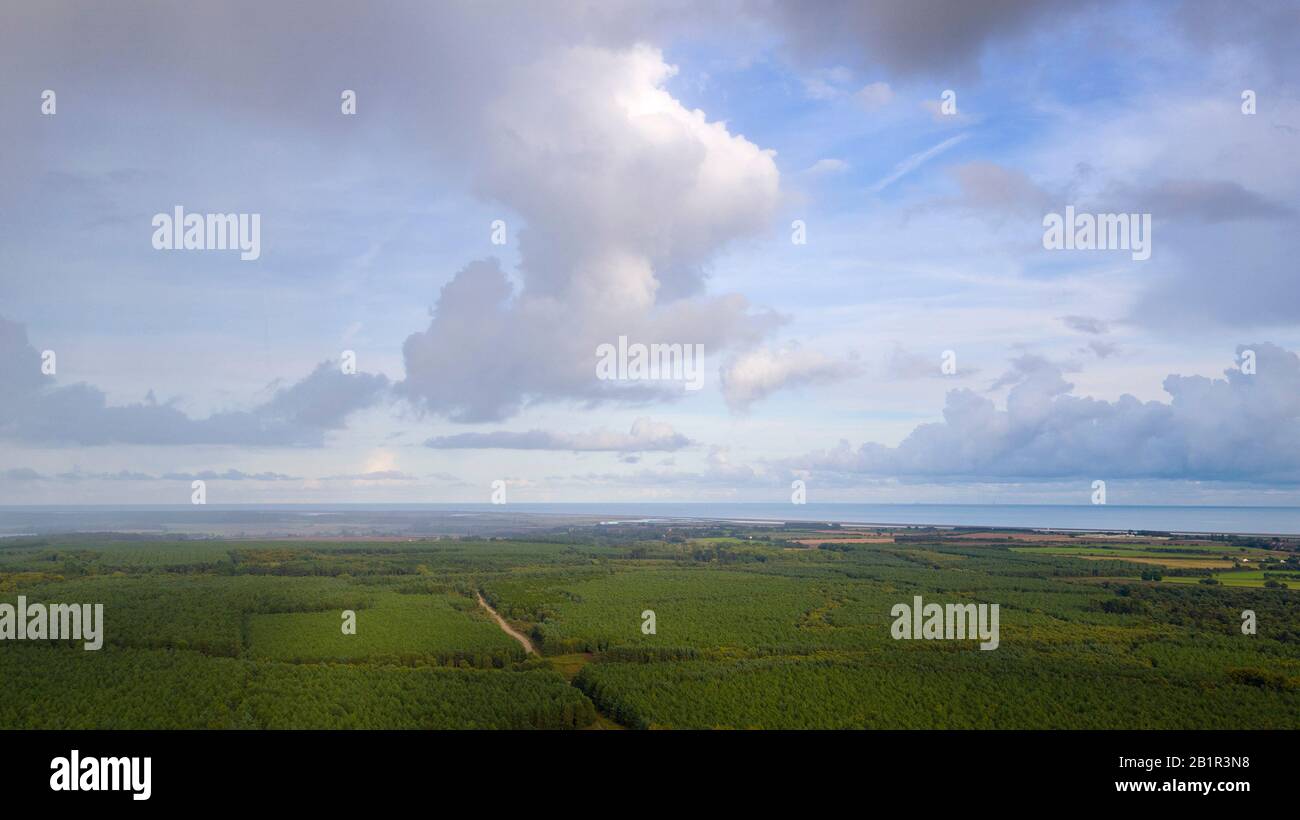 Una fotografia aerea di una foresta e della costa del suffolk Foto Stock