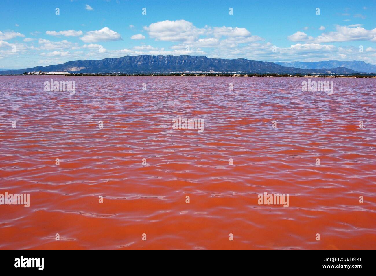 Lago di sale rosa Laguna de la Tancada con la catena montuosa di Montsia sullo sfondo nel Parco Naturale Delta del Ebro Foto Stock