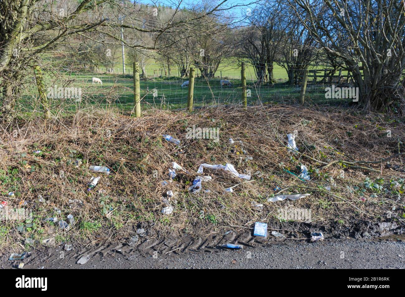 Rifiuti e rifiuti scartati in un layby su una strada rurale in Galles Foto Stock