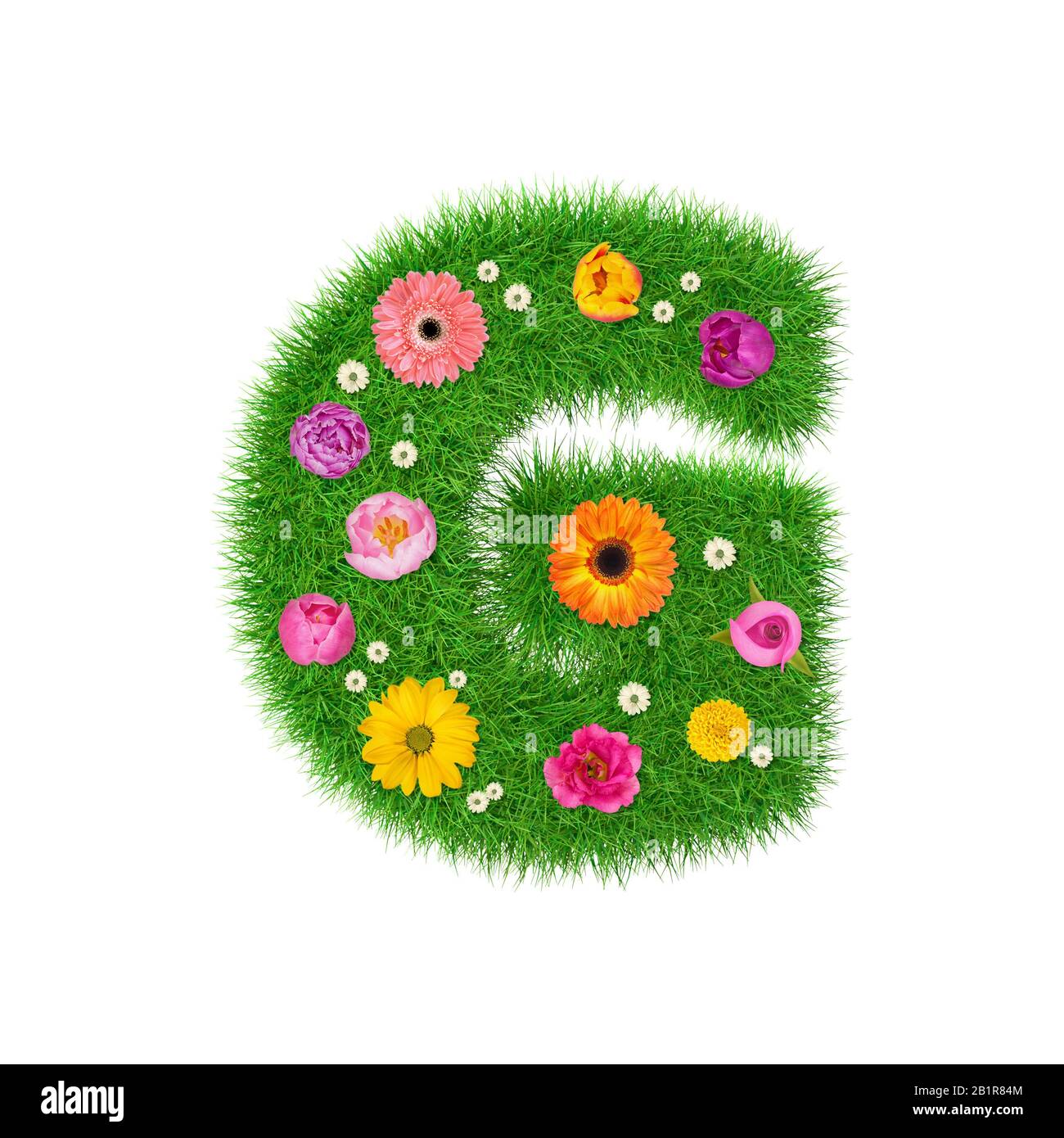 Lettera G fatta di erba e fiori colorati, concetto di primavera per collage grafico. Foto Stock