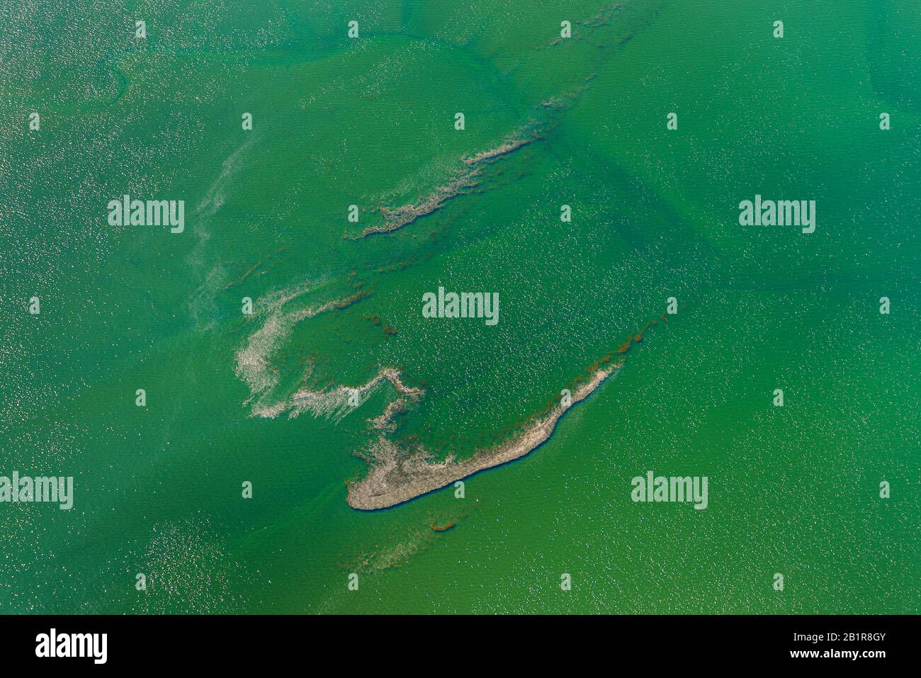 Veduta aerea del Mare del Nord, Germania, Schleswig-Holstein, Parco Nazionale del Mare di Schleswig-Holstein Foto Stock
