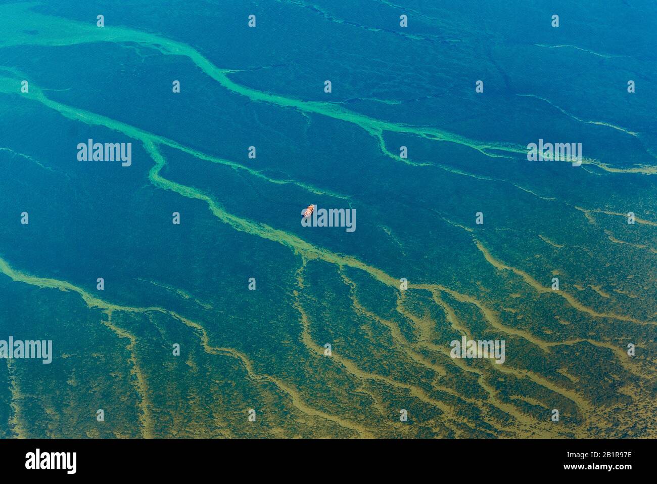 Veduta aerea del Mare del Nord, Germania, Schleswig-Holstein, Parco Nazionale del Mare di Schleswig-Holstein Foto Stock