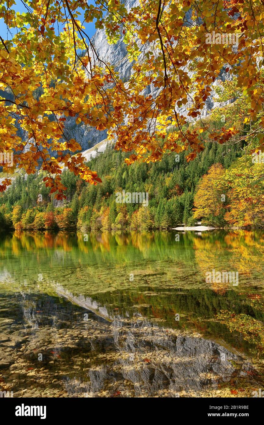 , lago di montagna Hinterer Langbatsee in autunno, Austria, Austria superiore, Salzkammergut Foto Stock