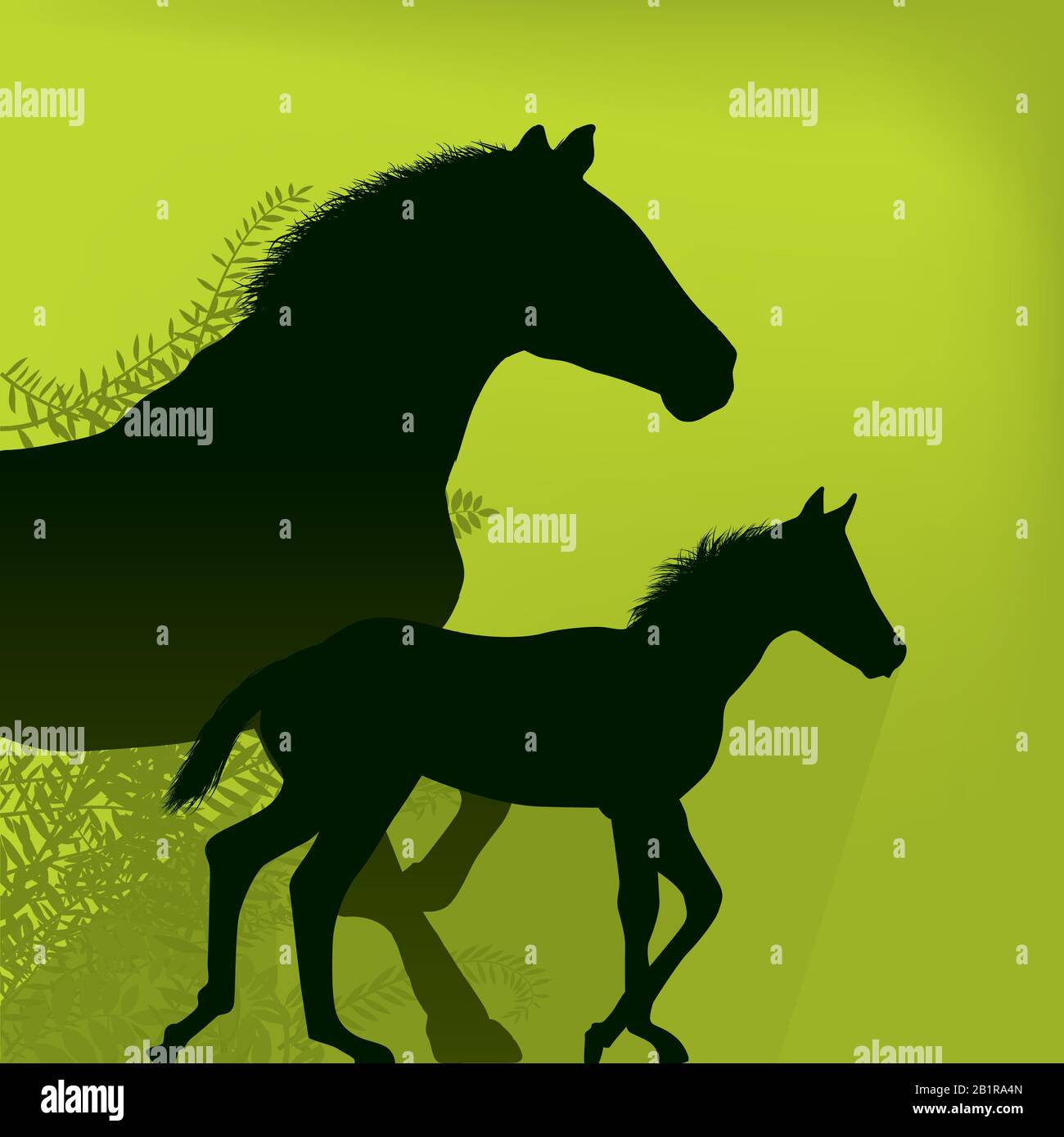 Due cavalli illustrazione isolato. Cavallo e colt. Illustrazione del vettore. Illustrazione Vettoriale