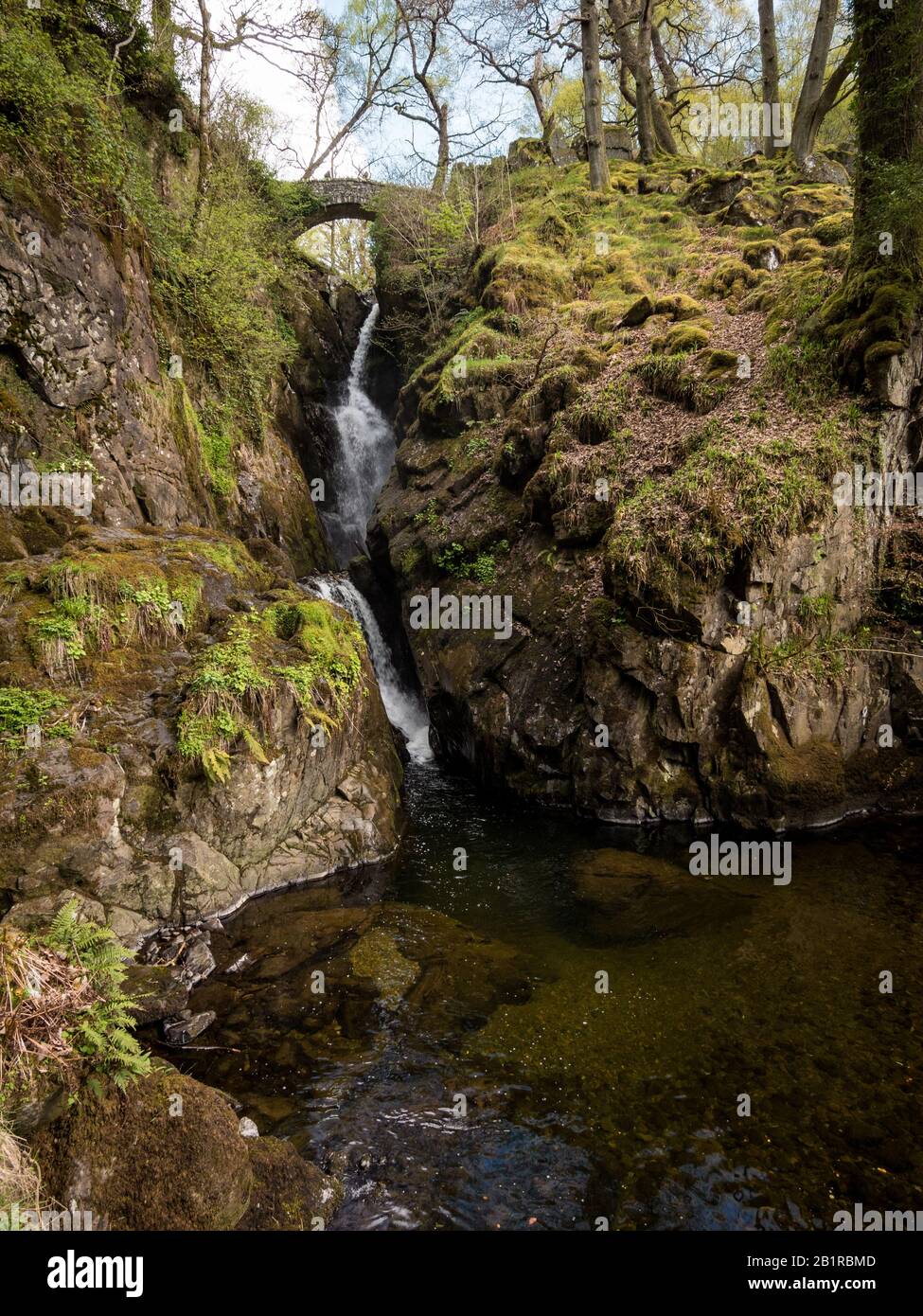 Cascata Di Aira Force, Distretto Dei Laghi Inglese. Una vista della cascata dell'Aira Force vicino Ullswater, Cumbria, Inghilterra. Foto Stock