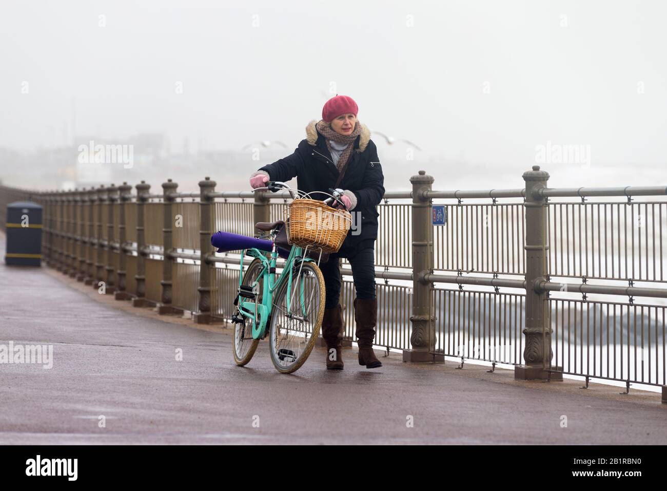 Donna che spinge una bicicletta con cesto in vento inverno lungo la passeggiata, hastings, East sussex, uk Foto Stock