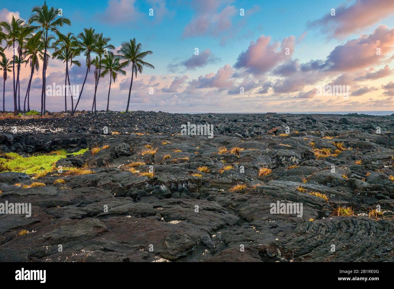 I campi neri di lava di pu’uhonua, o la Città del Rifugio, al pu’uhonua o Honaunau National Historical Park sulla Grande Isola delle Hawaii. Foto Stock