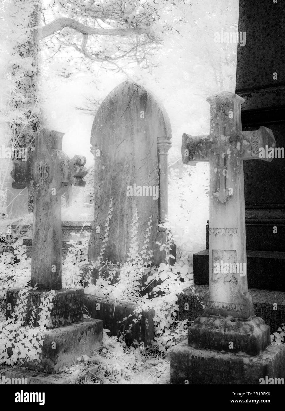 Un colpo a infrarossi della vecchia, edera-coperto lapidi Vittoriano. Foto Stock