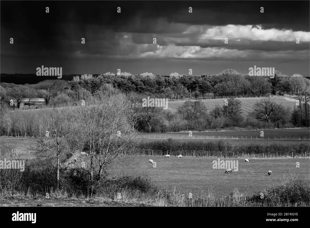 Paesaggio bianco e nero con nuvole di pioggia Foto Stock