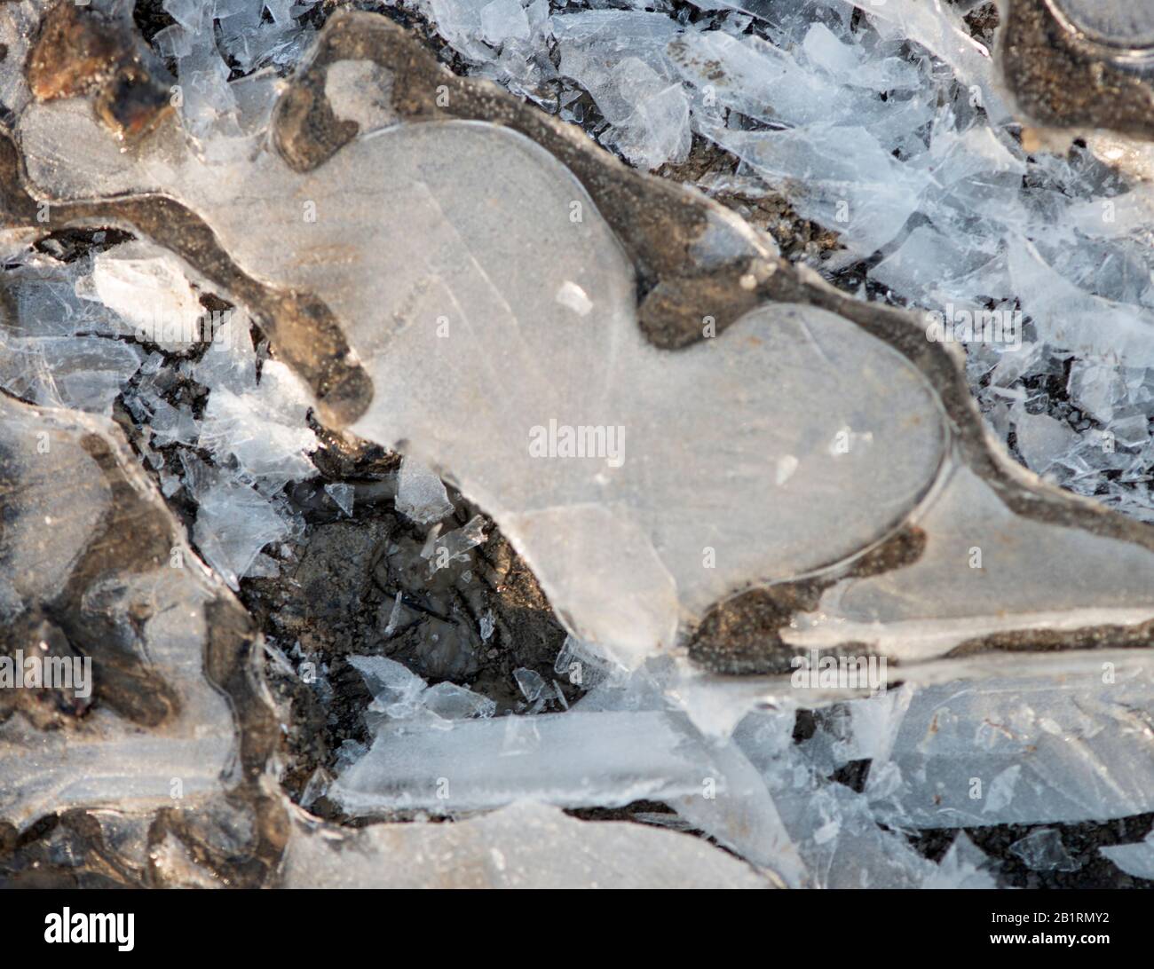 Emozione, mentale, stato, calma, tranquillità, agitazione, eccitazione, disturbo, nervoso, sistema, variamente, associato, pensieri, sentimenti, comportamento Foto Stock