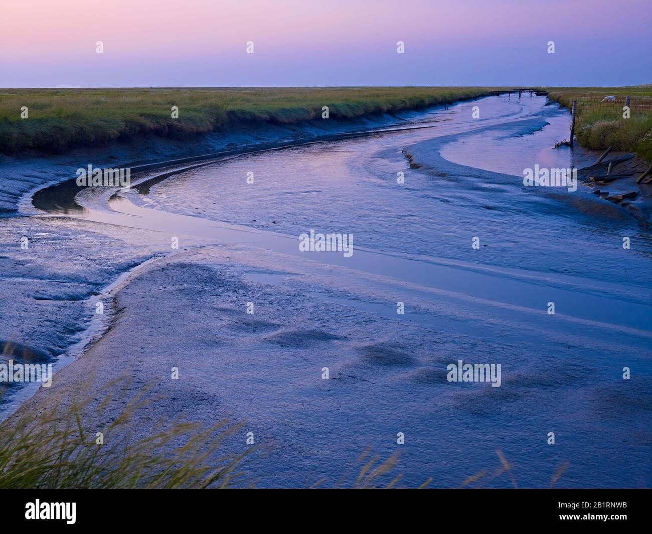 Torrente di marea nei pressi di Westerhiver, penisola di Eiderstedt, Frisia settentrionale, Schleswig-Holstein, Germania, Foto Stock