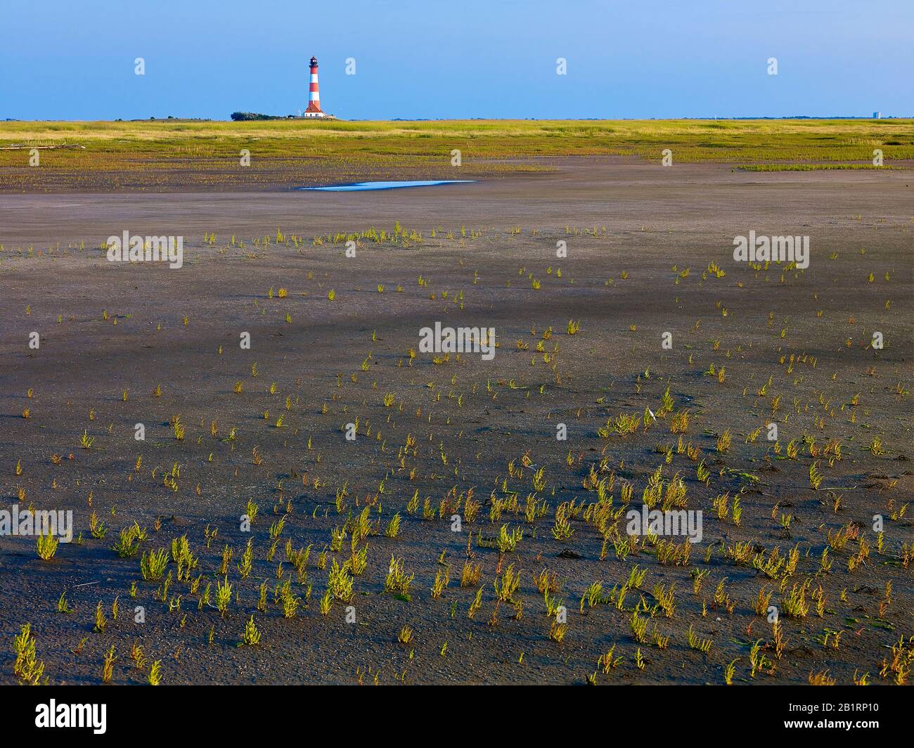 Faro Di Westerhersand, Penisola Di Eiderstedt, Frisia Settentrionale, Schleswig-Holstein, Germania, Foto Stock Faro Di Westerhersand, Penisola Di Eiderstedt, Frisia Settentrionale, Schleswig-Holstein, Germania, Foto Stock