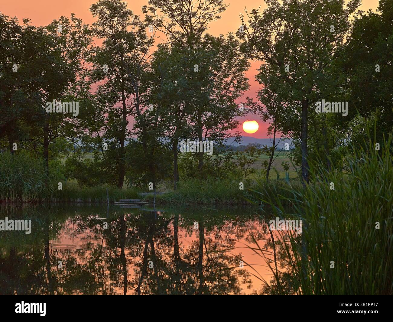 Stagno con tramonto, Burgenland, Austria, Foto Stock