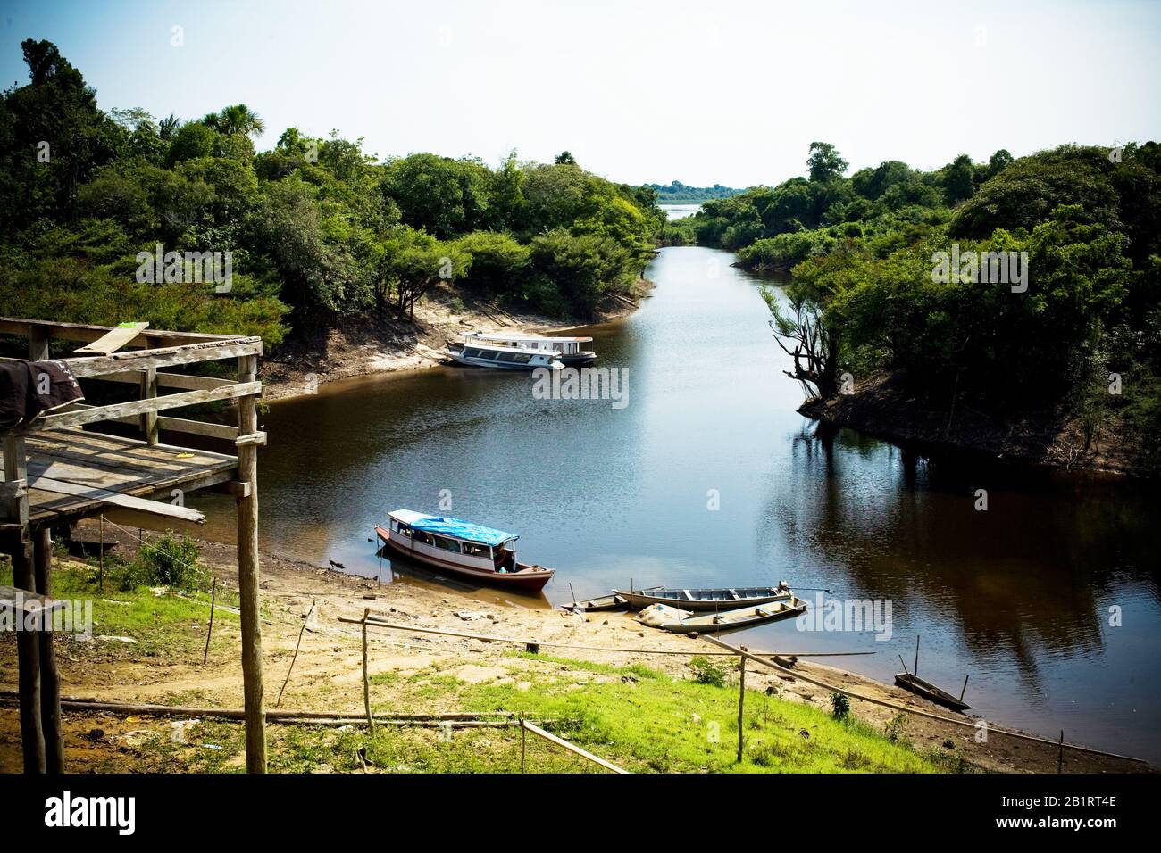 Paesaggio, Natura, Comunità Di Terra Preta, Iranduba, Amazonas, Brasile Foto Stock