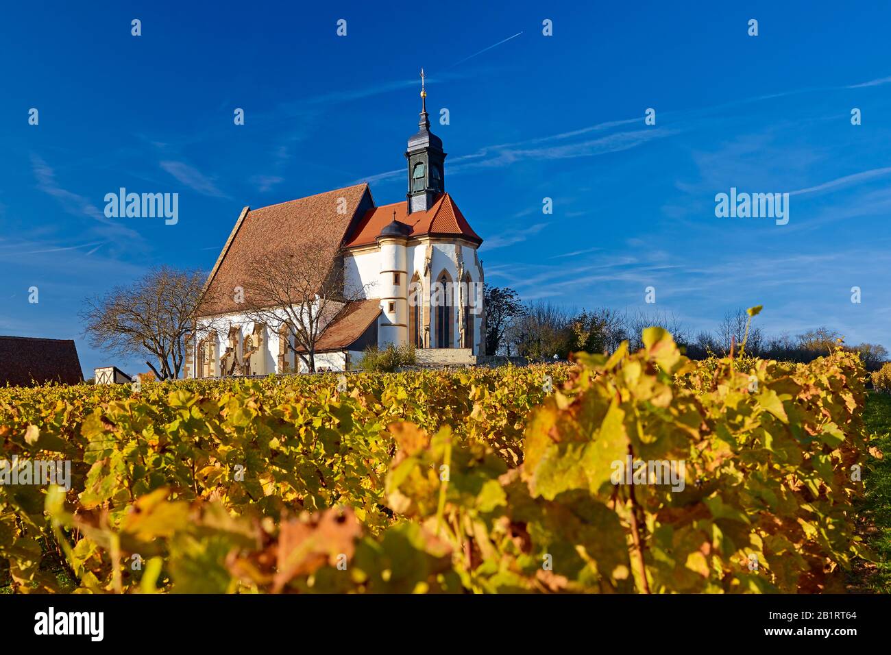 Chiesa Maria Im Weingarten Nei Pressi Di Volkach Am Main, Bassa Franconia, Baviera, Germania Foto Stock