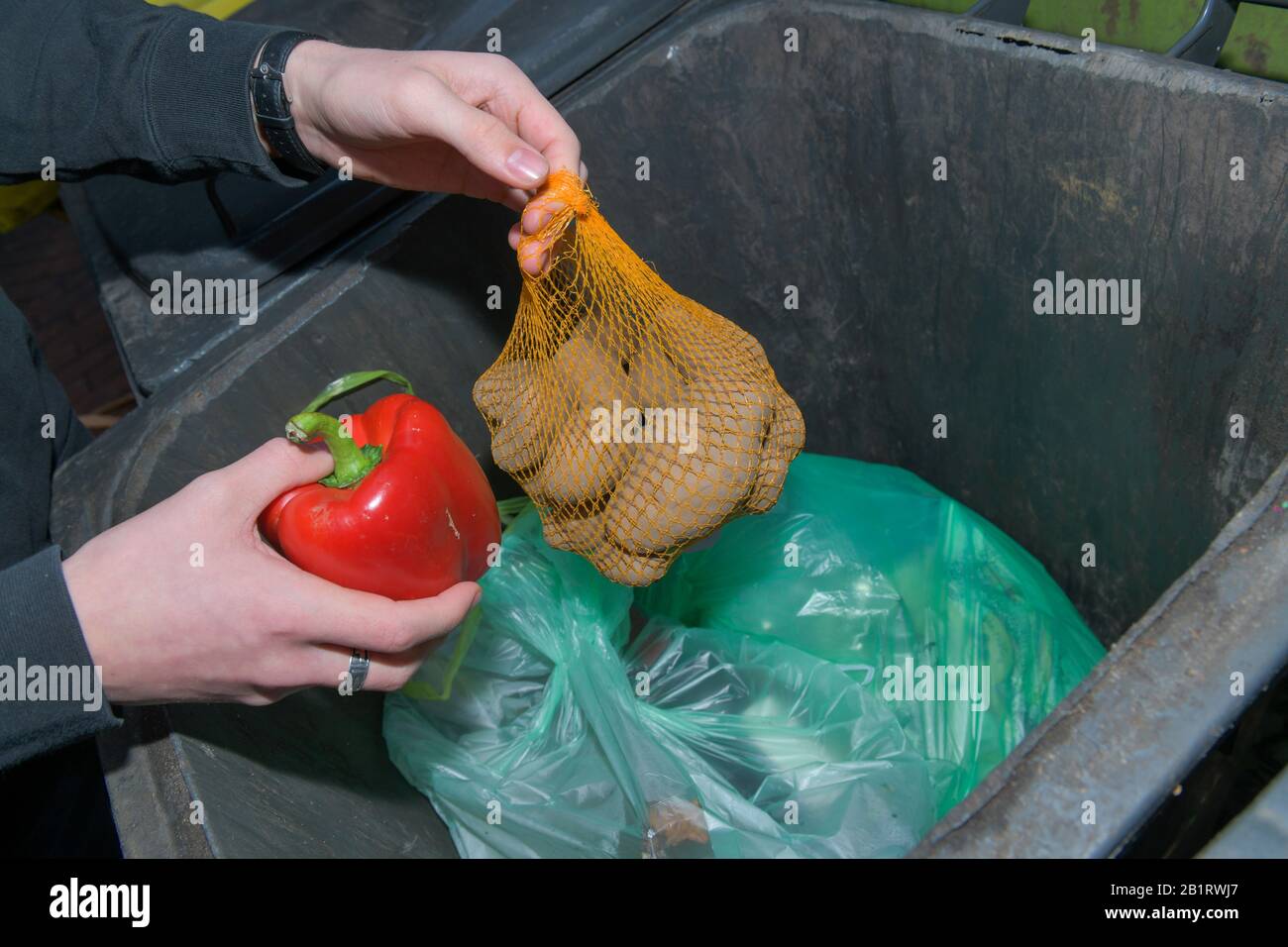 Lebensmittel, Abfall, Müllton, Verschwendung, Rettung Foto Stock