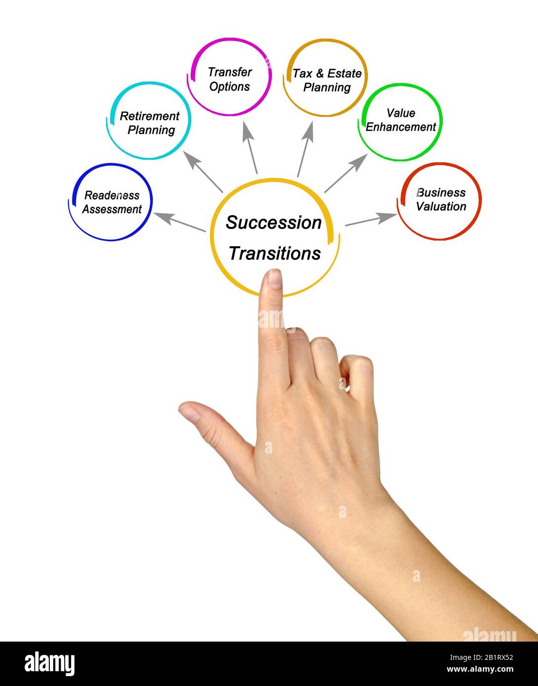 Cinque Componenti Delle Transizioni Di Successione Foto Stock