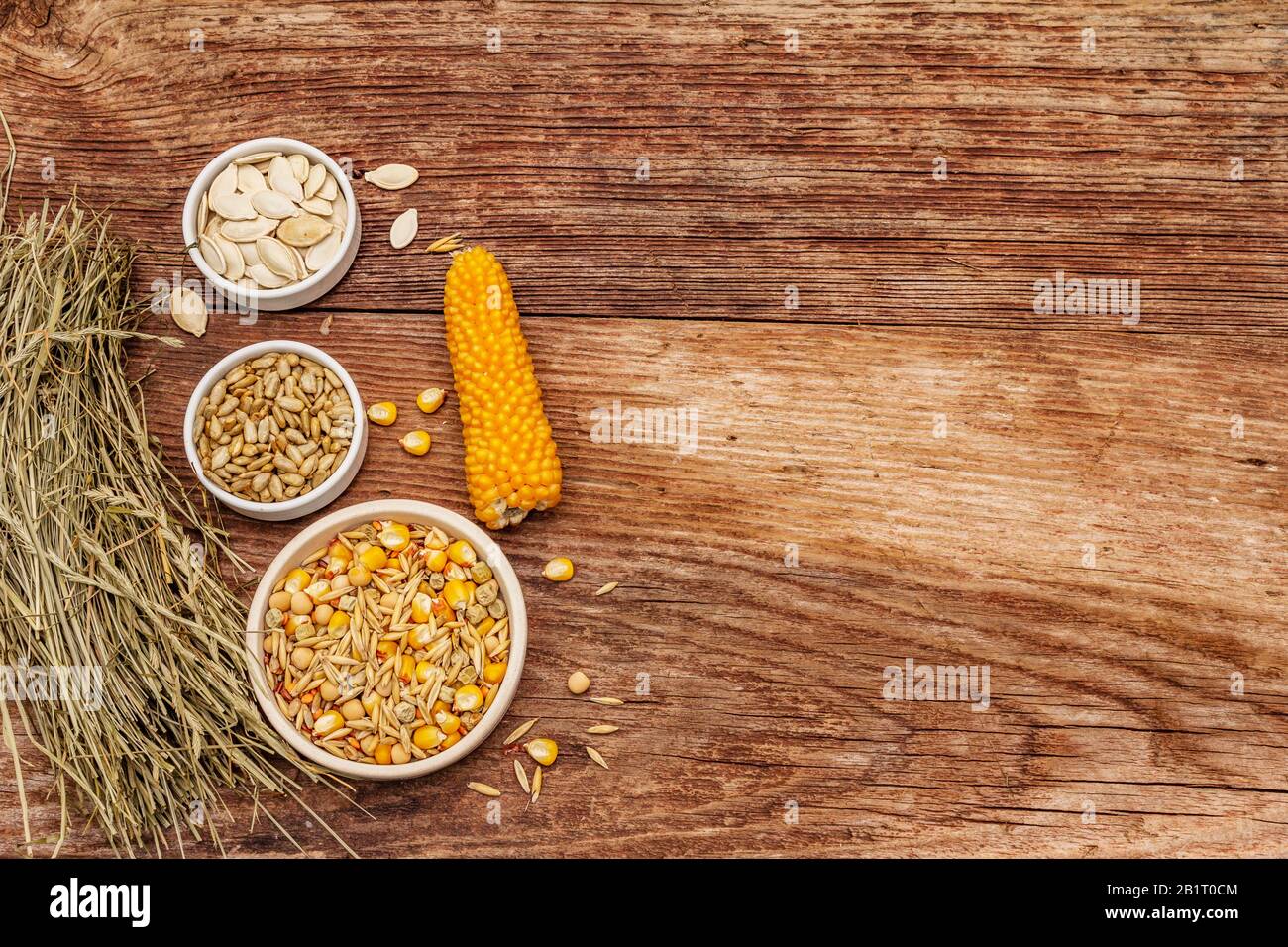 Dieta equilibrata per roditori domestici. Mix assortito di grano e semi, erbe secche. Vecchio sfondo in legno, vista dall'alto Foto Stock