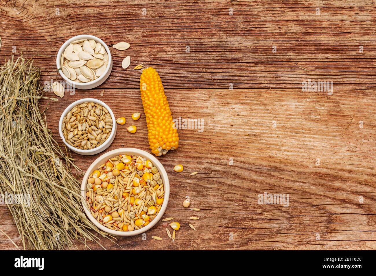 Dieta equilibrata per roditori domestici. Mix assortito di grano e semi, erbe secche. Vecchio sfondo in legno, vista dall'alto Foto Stock