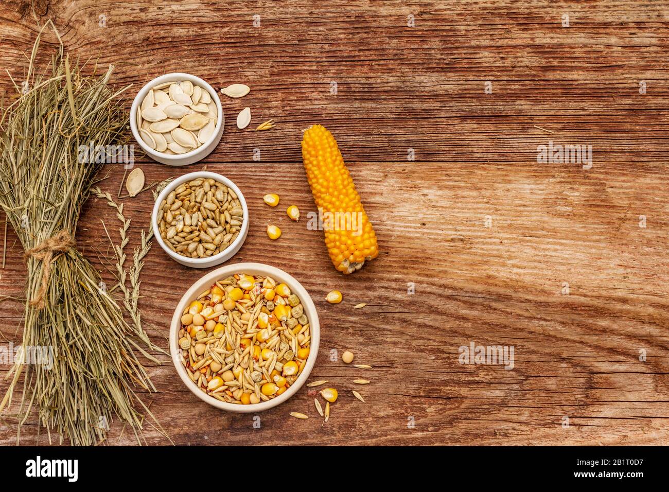 Dieta equilibrata per roditori domestici. Mix assortito di grano e semi, erbe secche. Vecchio sfondo in legno, vista dall'alto Foto Stock
