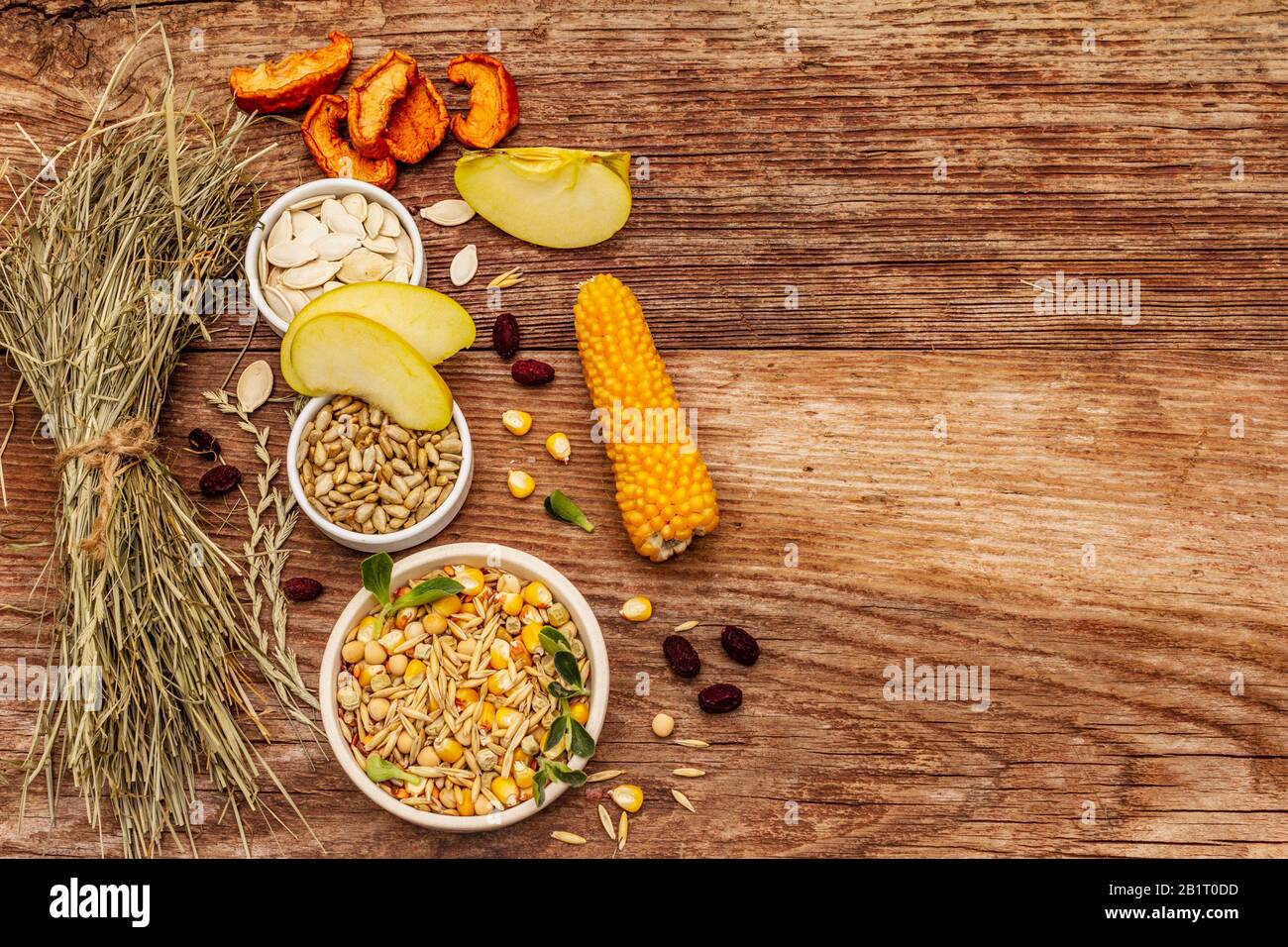 Dieta equilibrata per roditori domestici. Miscela assortita di grano e semi, erbe secche, frutta fresca. Vecchio sfondo in legno, vista dall'alto Foto Stock