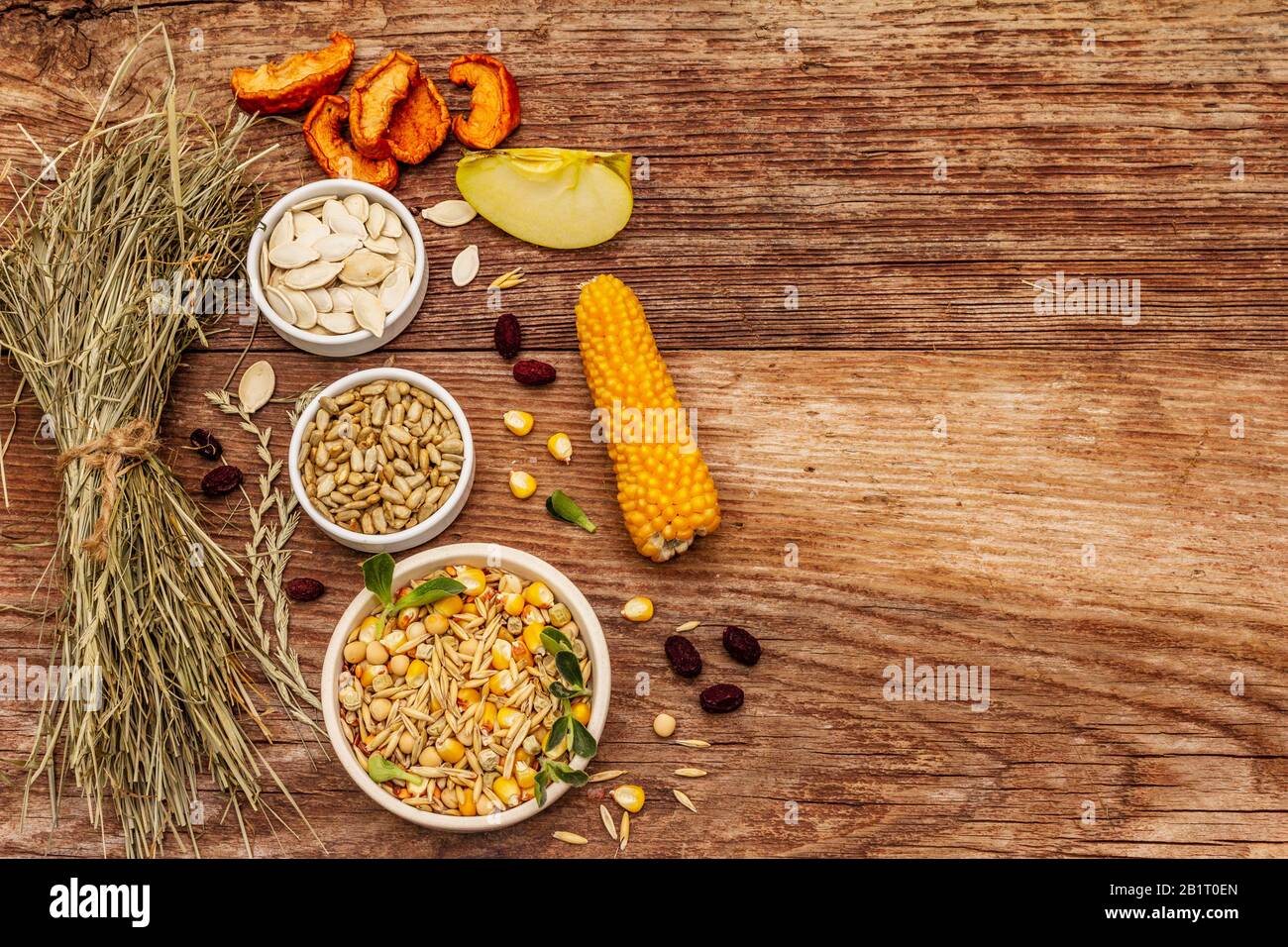 Dieta equilibrata per roditori domestici. Miscela assortita di grano e semi, erbe secche, frutta fresca. Vecchio sfondo in legno, vista dall'alto Foto Stock