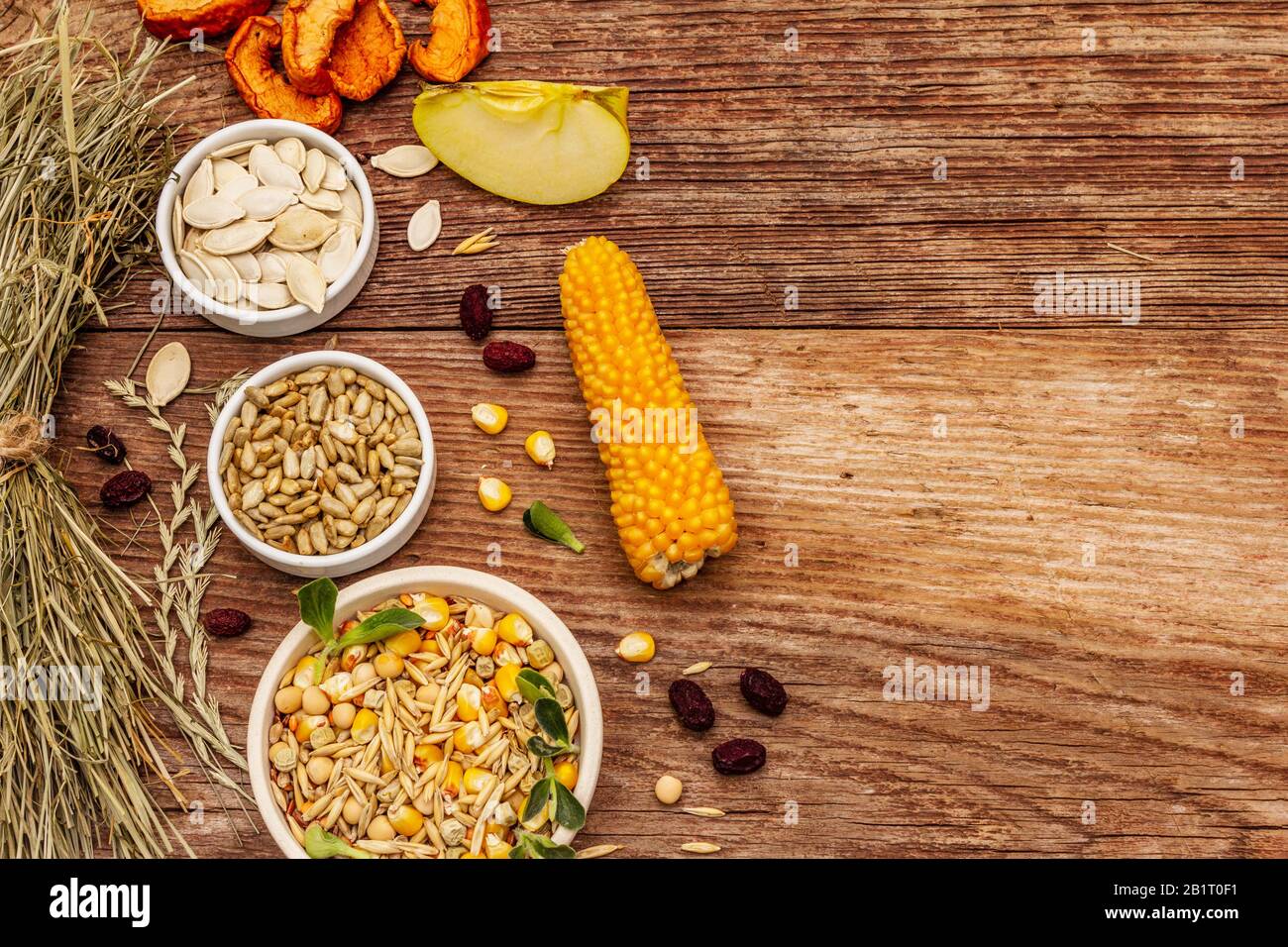 Dieta equilibrata per roditori domestici. Miscela assortita di grano e semi, erbe secche, frutta fresca. Vecchio sfondo in legno, vista dall'alto Foto Stock