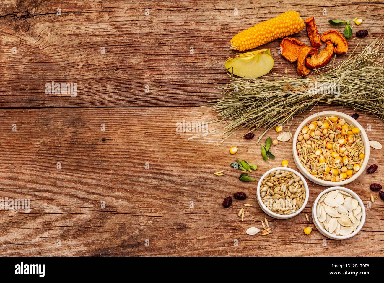 Dieta equilibrata per roditori domestici. Miscela assortita di grano e semi, erbe secche, frutta fresca. Vecchio sfondo in legno, vista dall'alto Foto Stock