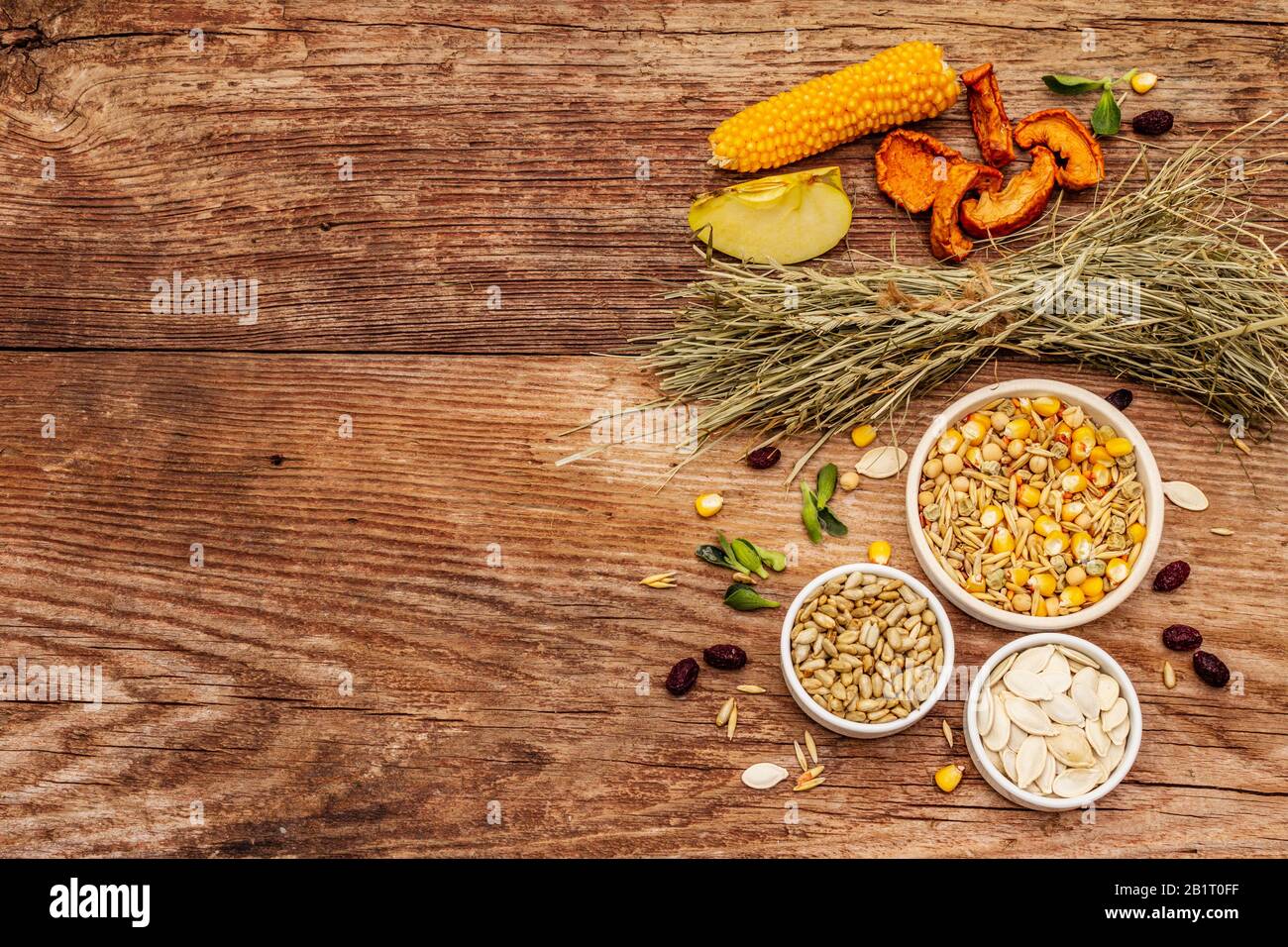 Dieta equilibrata per roditori domestici. Miscela assortita di grano e semi, erbe secche, frutta fresca. Vecchio sfondo in legno, vista dall'alto Foto Stock