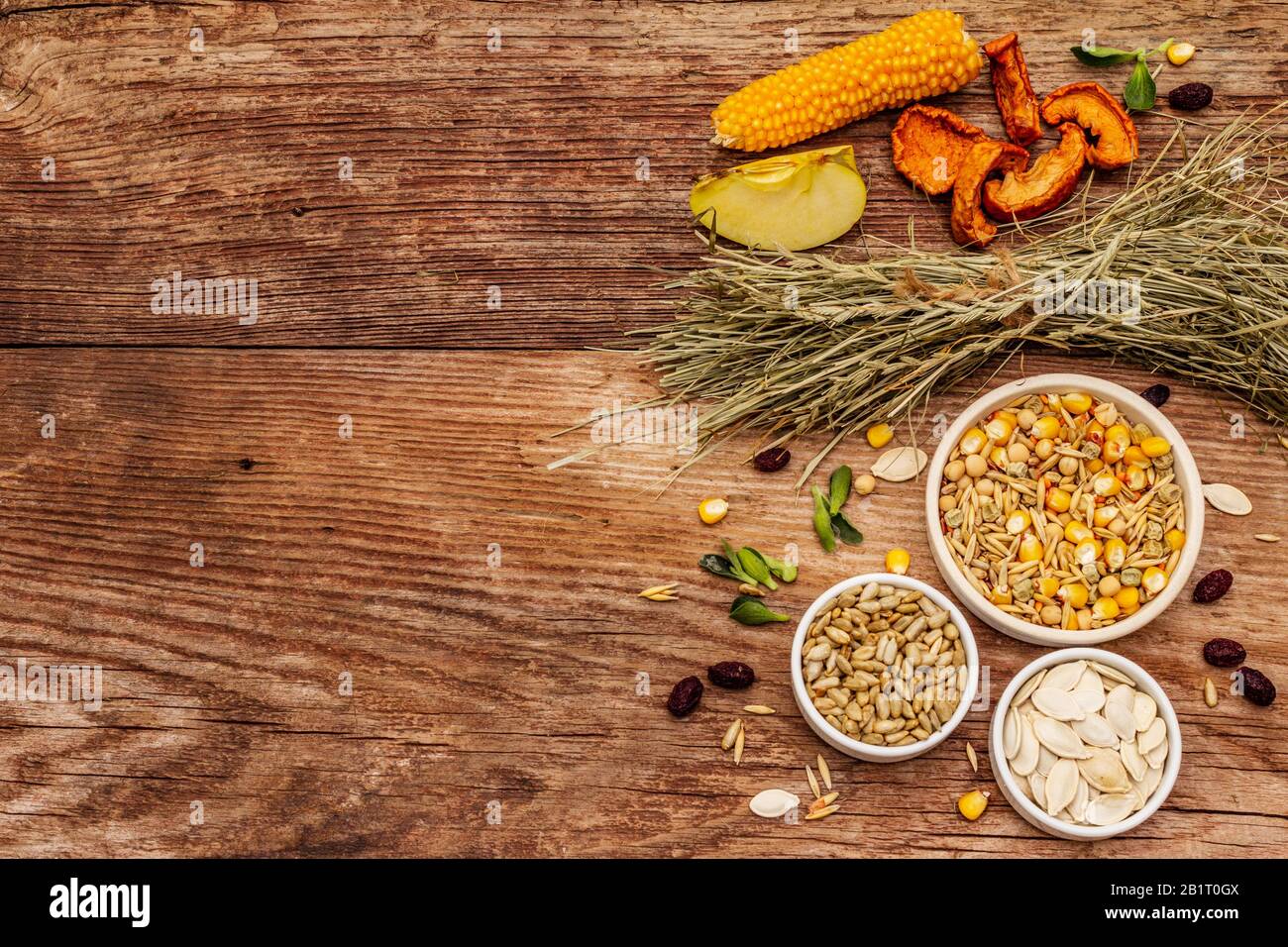 Dieta equilibrata per roditori domestici. Miscela assortita di grano e semi, erbe secche, frutta fresca. Vecchio sfondo in legno, vista dall'alto Foto Stock