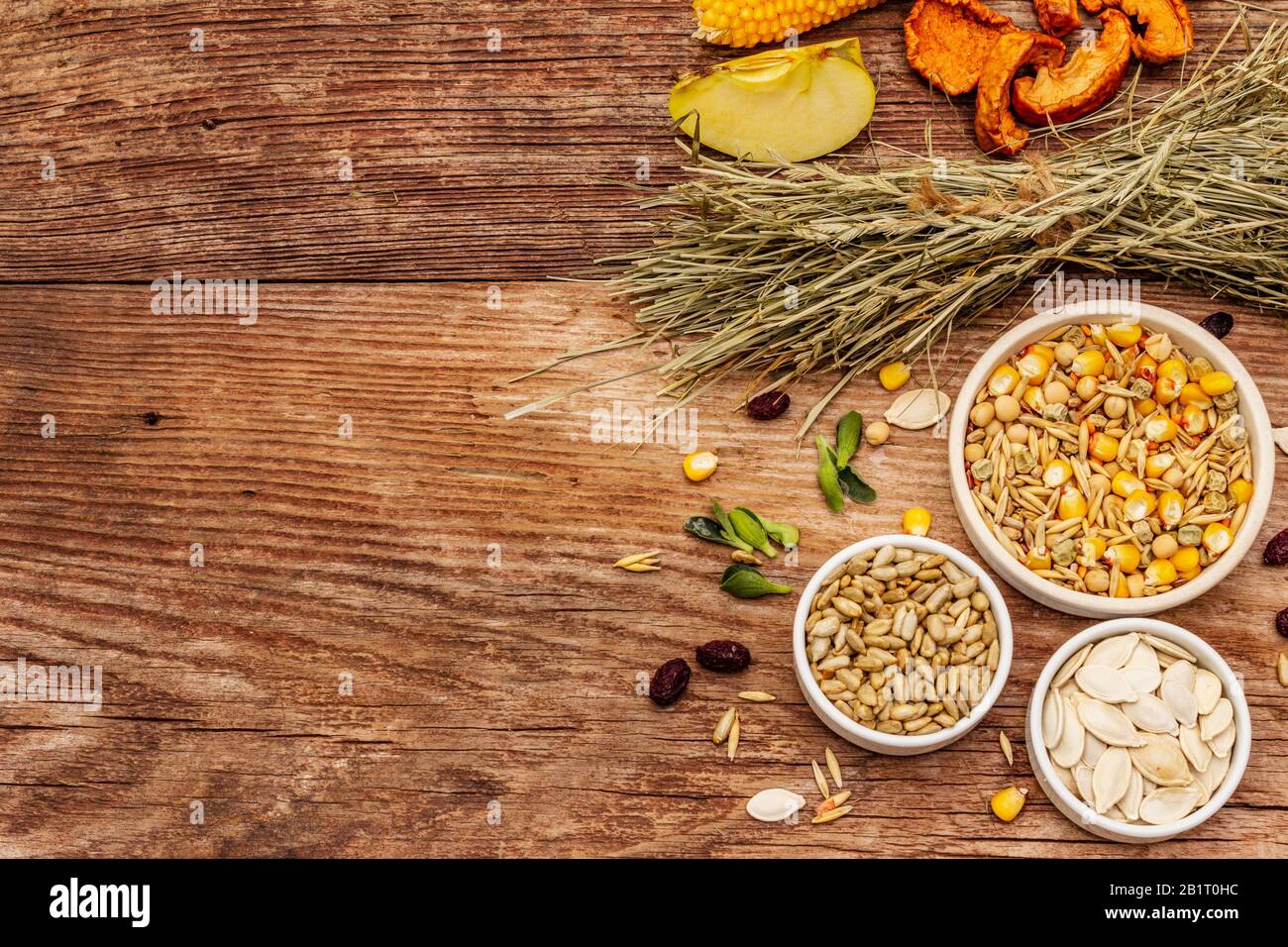 Dieta equilibrata per roditori domestici. Miscela assortita di grano e semi, erbe secche, frutta fresca. Vecchio sfondo in legno, vista dall'alto Foto Stock