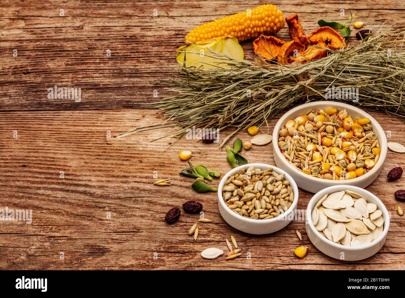 Dieta equilibrata per roditori domestici. Miscela assortita di grano e semi, erbe secche, frutta fresca. Vecchio sfondo di legno, spazio copia Foto Stock