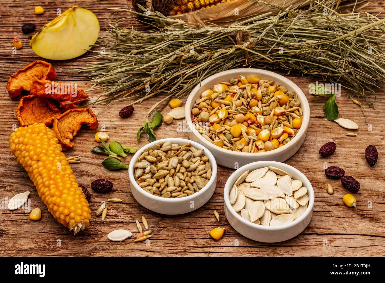 Dieta equilibrata per roditori domestici. Miscela assortita di grano e semi, erbe secche, frutta fresca. Vecchio sfondo di legno, primo piano Foto Stock