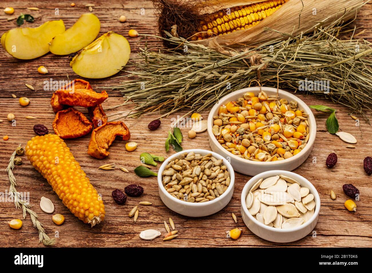 Dieta equilibrata per roditori domestici. Miscela assortita di grano e semi, erbe secche, frutta fresca. Vecchio sfondo di legno, primo piano Foto Stock