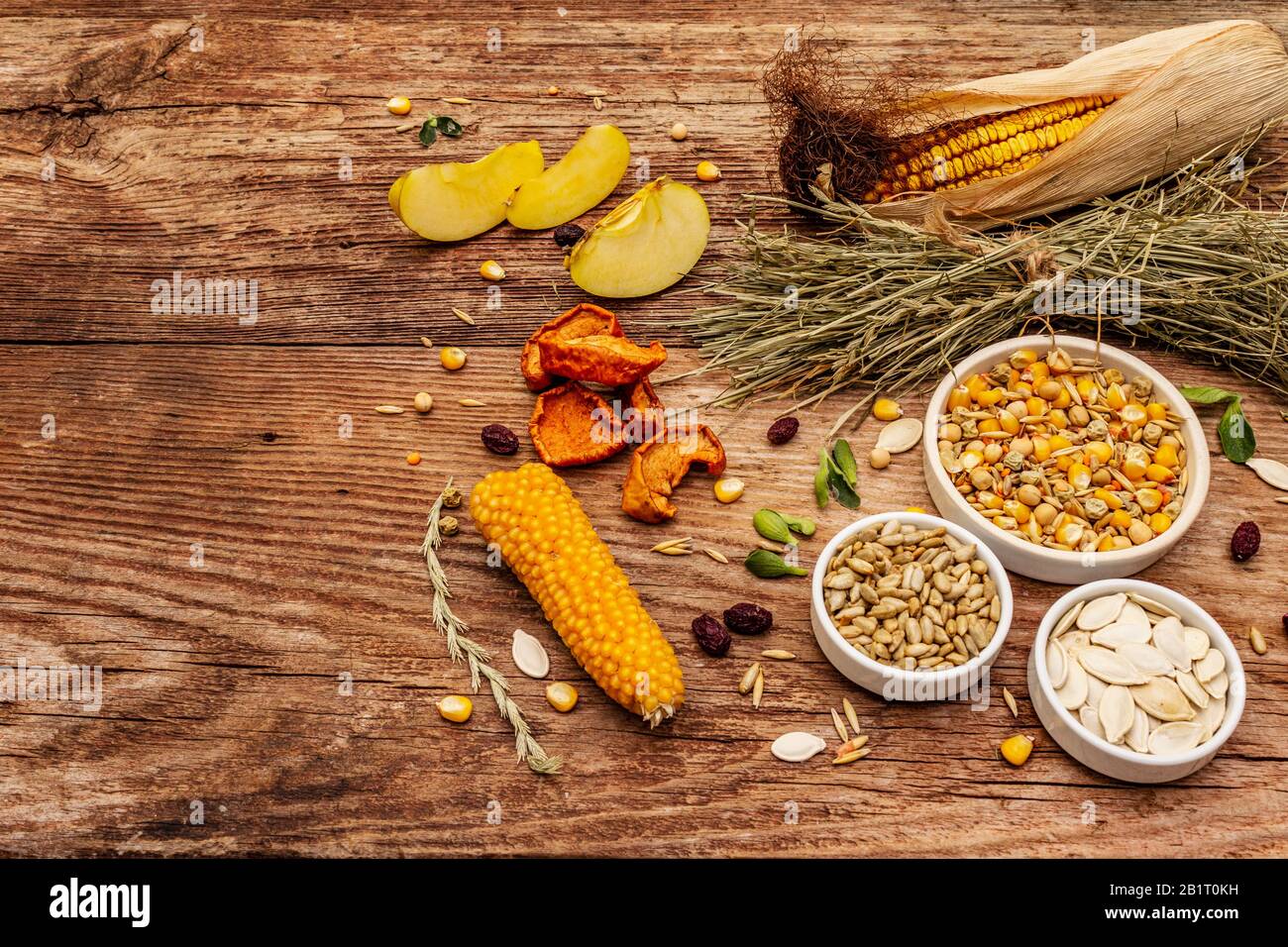 Dieta equilibrata per roditori domestici. Miscela assortita di grano e semi, erbe secche, frutta fresca. Vecchio sfondo di legno, spazio copia Foto Stock