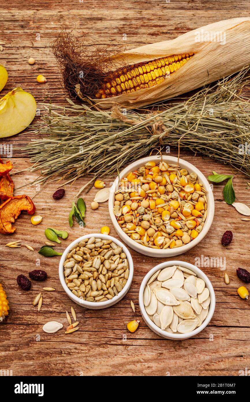 Dieta equilibrata per roditori domestici. Miscela assortita di grano e semi, erbe secche, frutta fresca. Vecchio sfondo in legno, primo piano, vista dall'alto Foto Stock