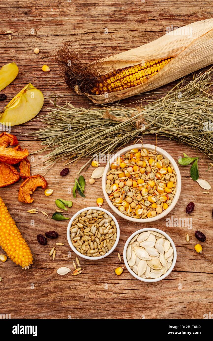 Dieta equilibrata per roditori domestici. Miscela assortita di grano e semi, erbe secche, frutta fresca. Vecchio sfondo in legno, primo piano, vista dall'alto Foto Stock