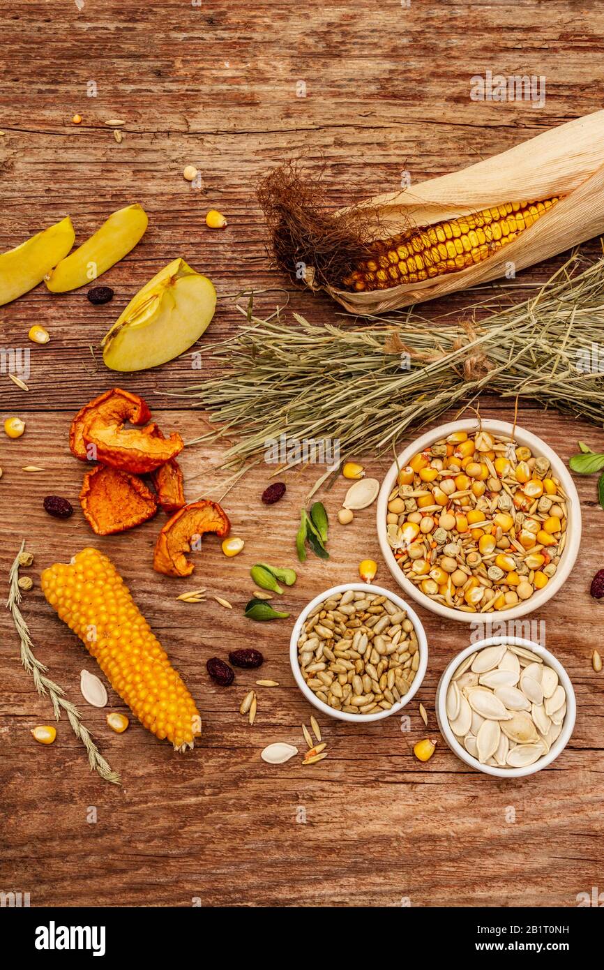 Dieta equilibrata per roditori domestici. Miscela assortita di grano e semi, erbe secche, frutta fresca. Vecchio sfondo in legno, primo piano, vista dall'alto Foto Stock